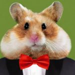 Crypto Hamster
