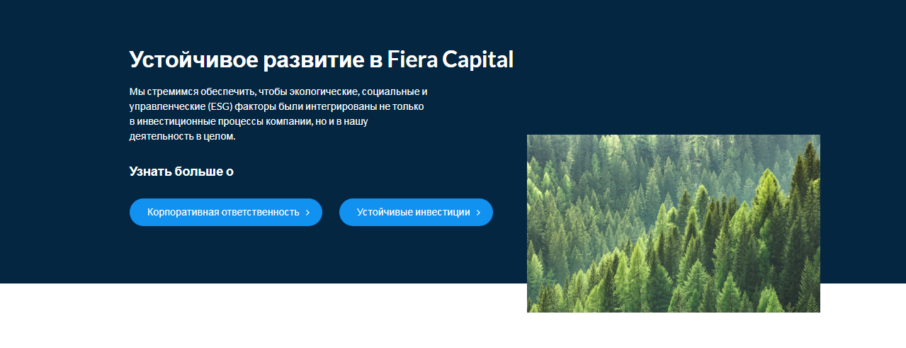fiera capital отзывы