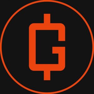 Gvnr Токен