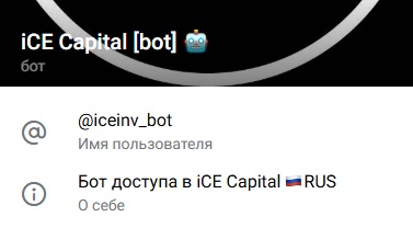 ice capital канал отзывы