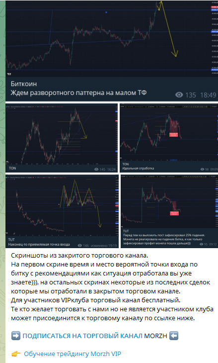 Morzh обучение трейдер на телеграм