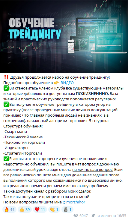 Morzh трейдинг