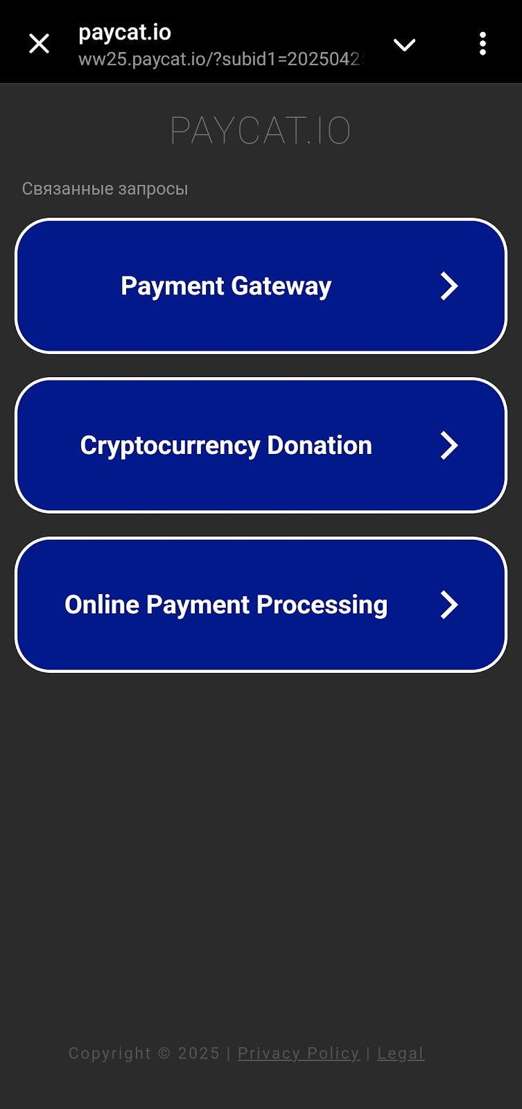 ppaycat p2p