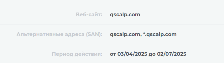 qscalp com