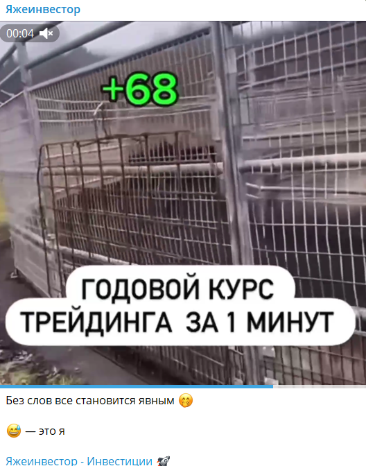 Сергей Большаков инвестиции