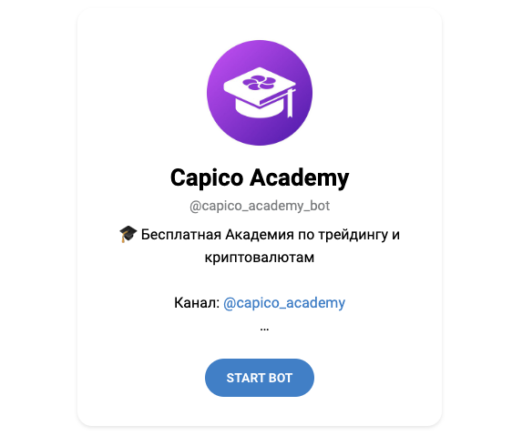 терминал capico