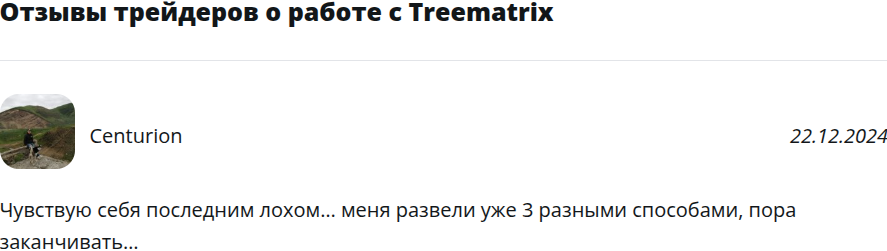 treematrix развод