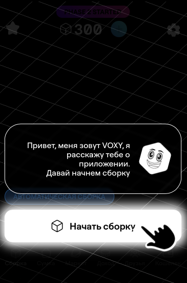 voxel build to earn промокод