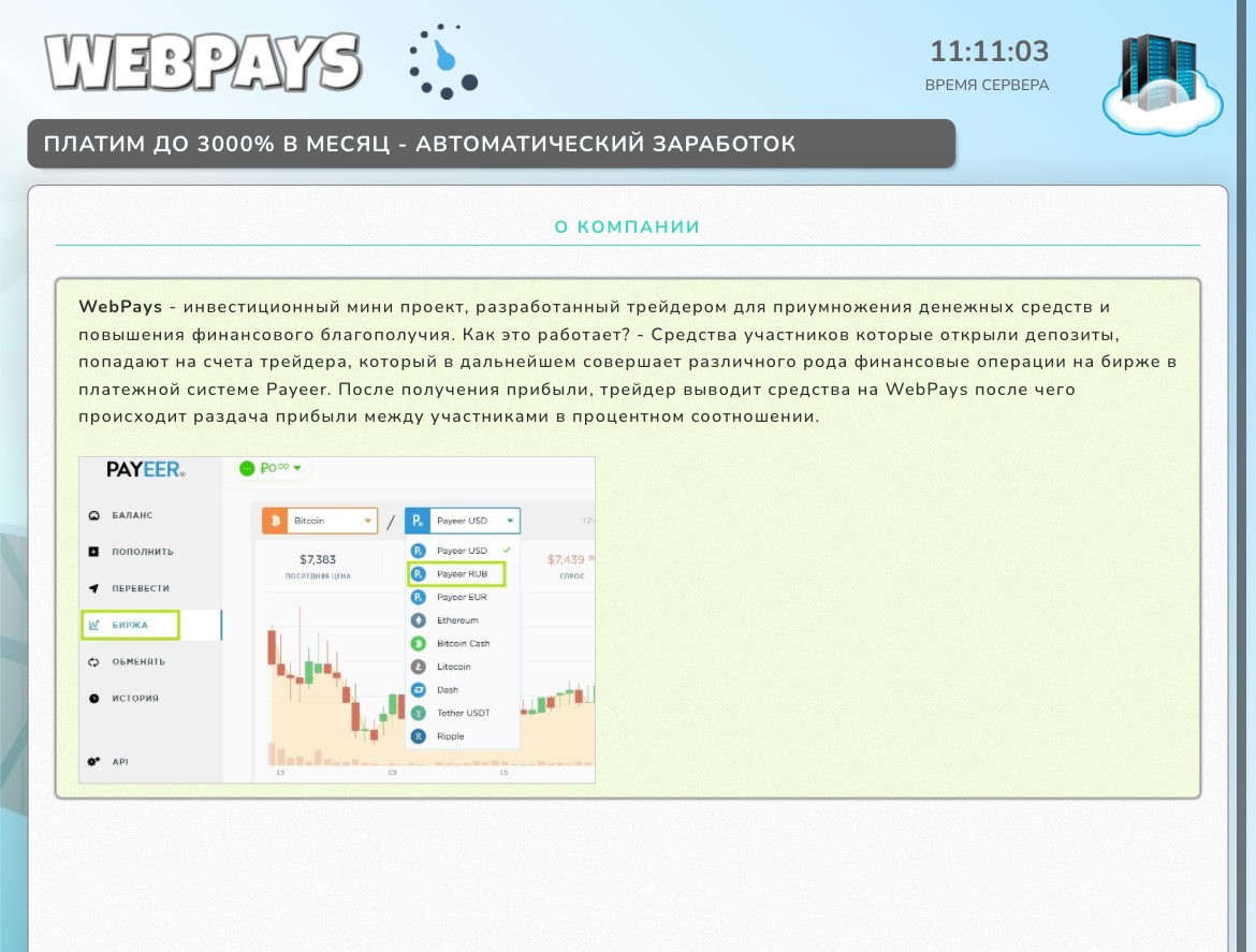 webpays