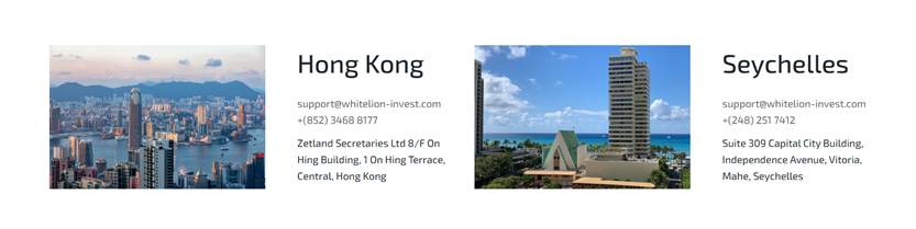 White Lion Investments