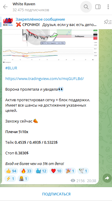 white raven тг канал