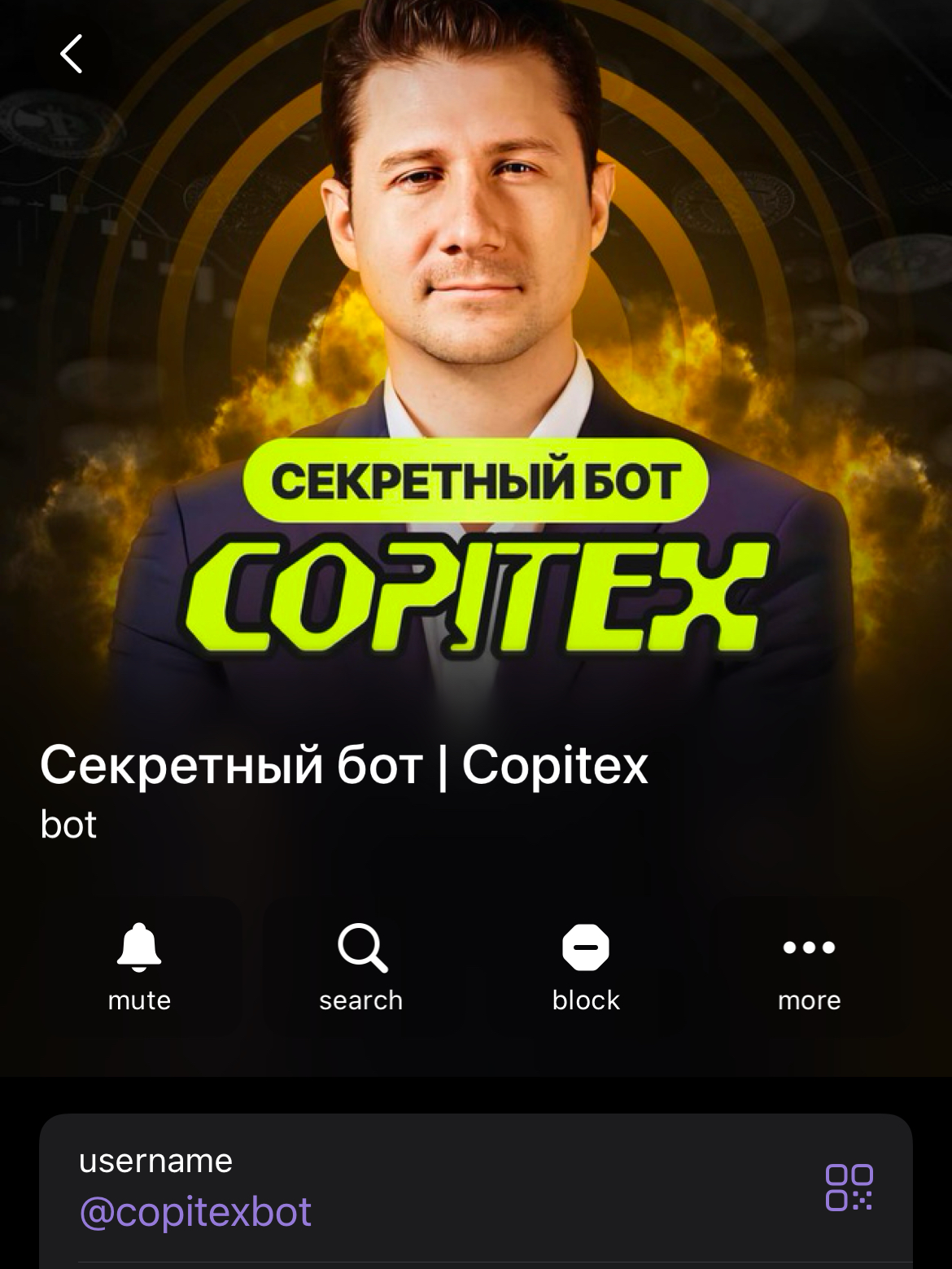 закрытое комьюнити copitex