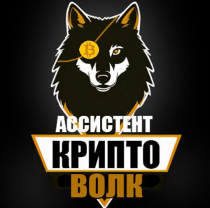 Avitoconwolf Bot