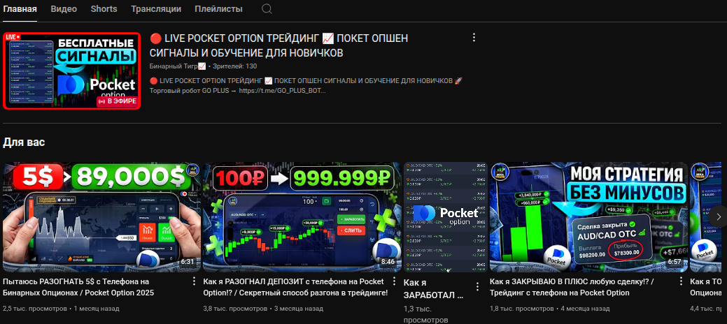 binary tiger отзывы