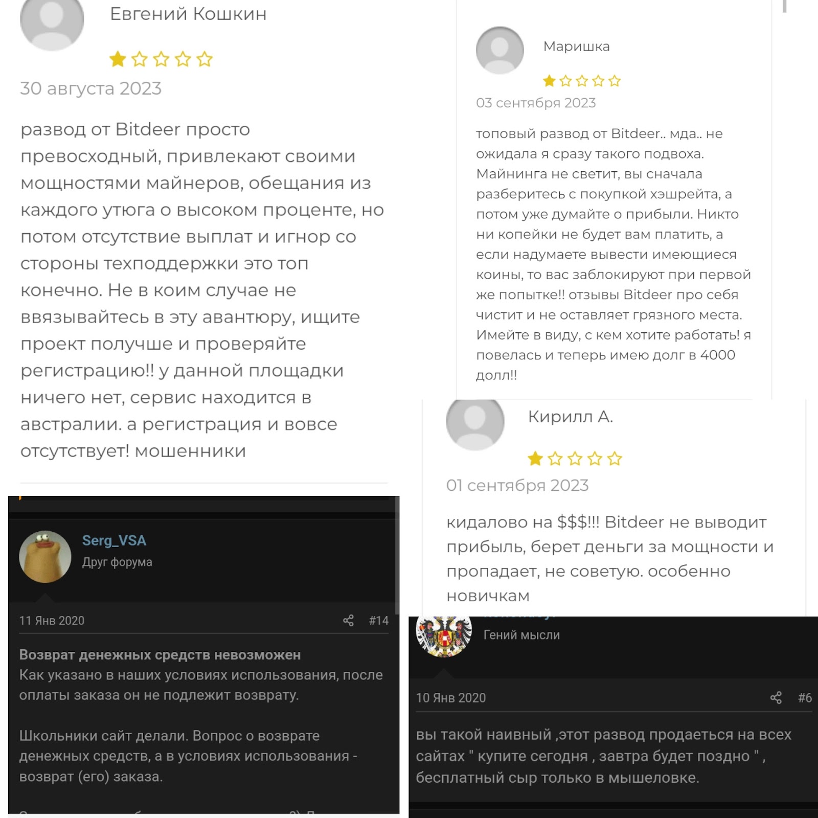 bitdeer com