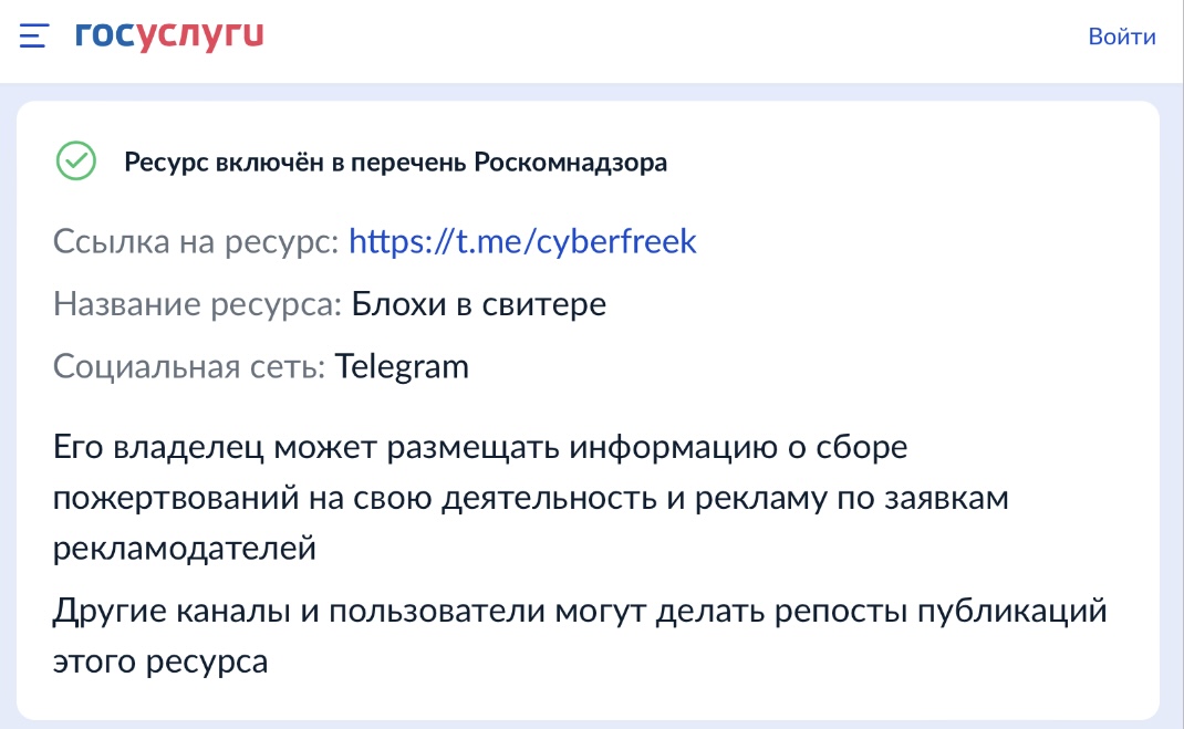 блохи в свитере