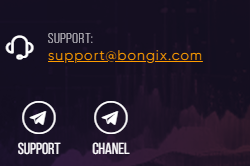 Bongix bot