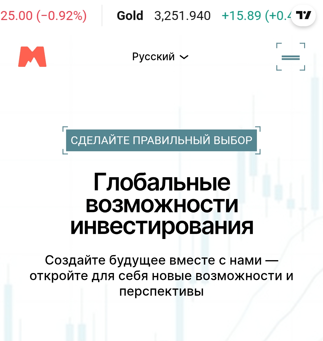 брокерская компания myskitow