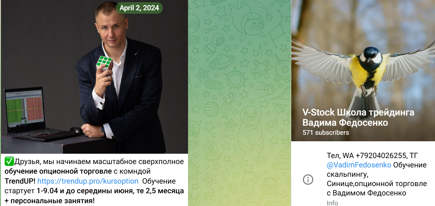 дивиденды профессиональный авторский метод