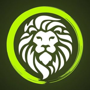 Dzen Invest