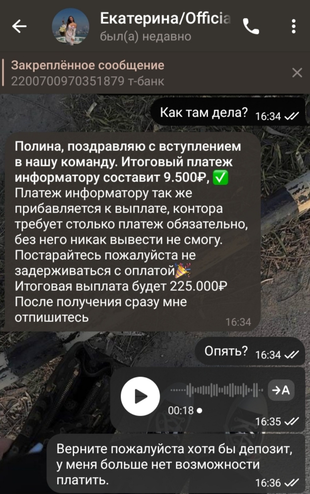 ekatyainvest