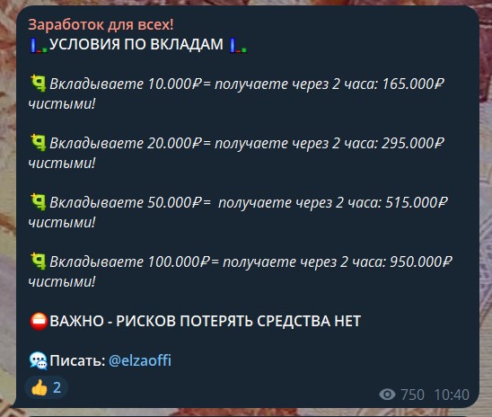 эльза трейдер