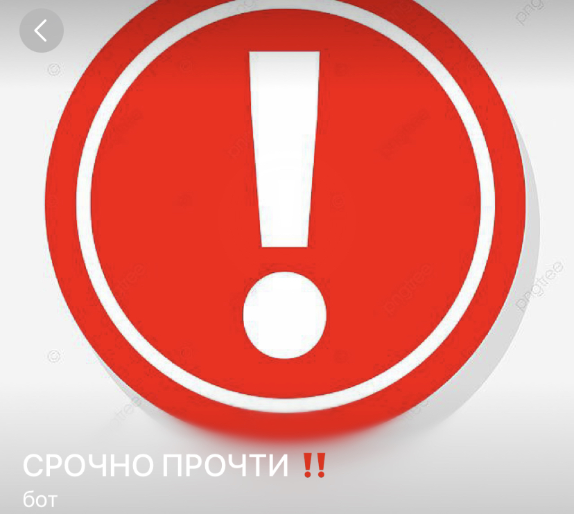 ermolaev trade отзывы