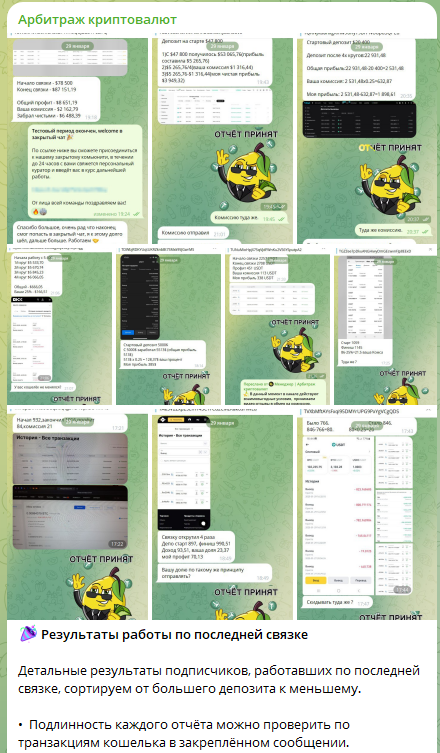 limonsupports скам