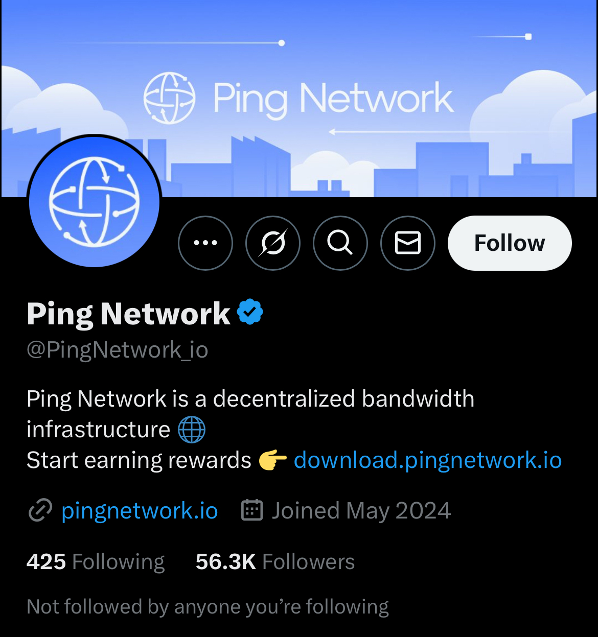 ping network invest