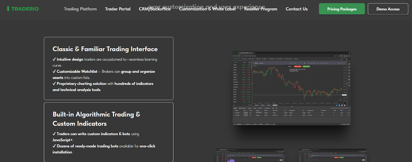traderioteam