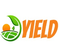 Yield Finance