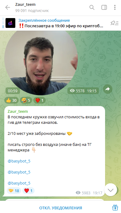 zaur team