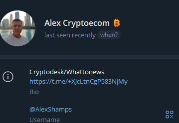 AlexShamps