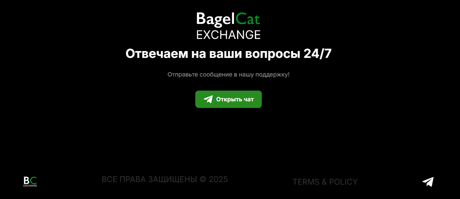 Bagelcat com отзывы