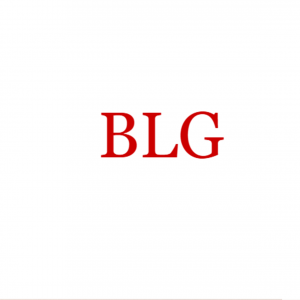 Bilakh Limitedgroup
