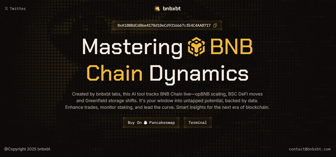 bnbxbt обзор