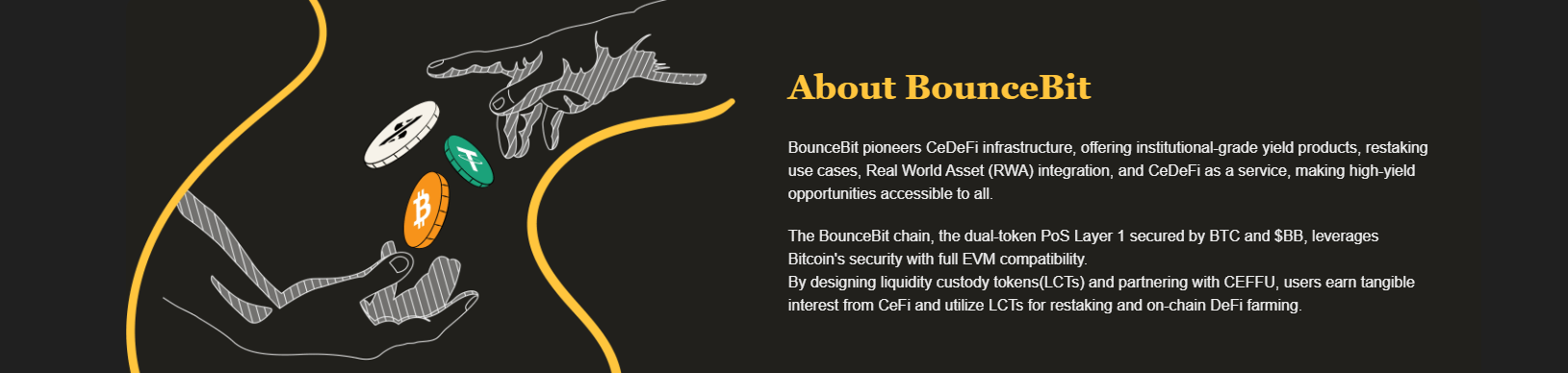 bouncebit