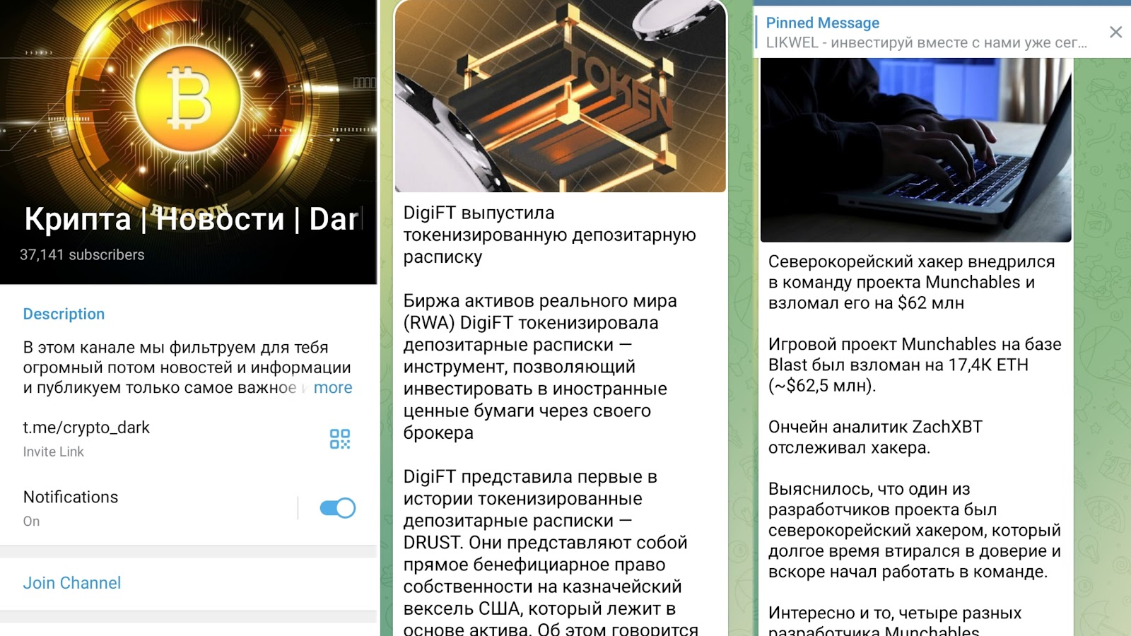 crypto dark
