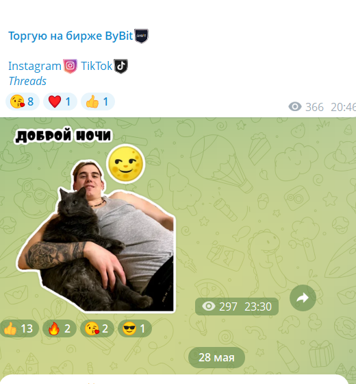 дима манифест