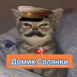 Домик Солянки