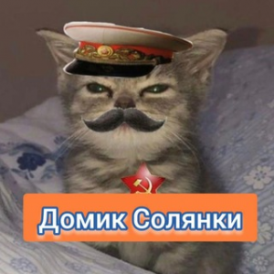Домик Солянки