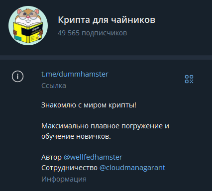 dummhamster