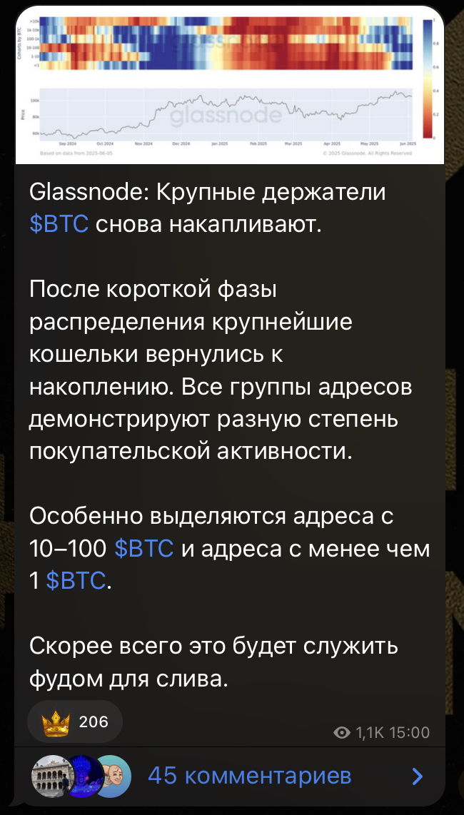 elmeev отзывы