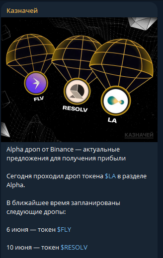 Казначей
