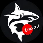 Крипто Менялка