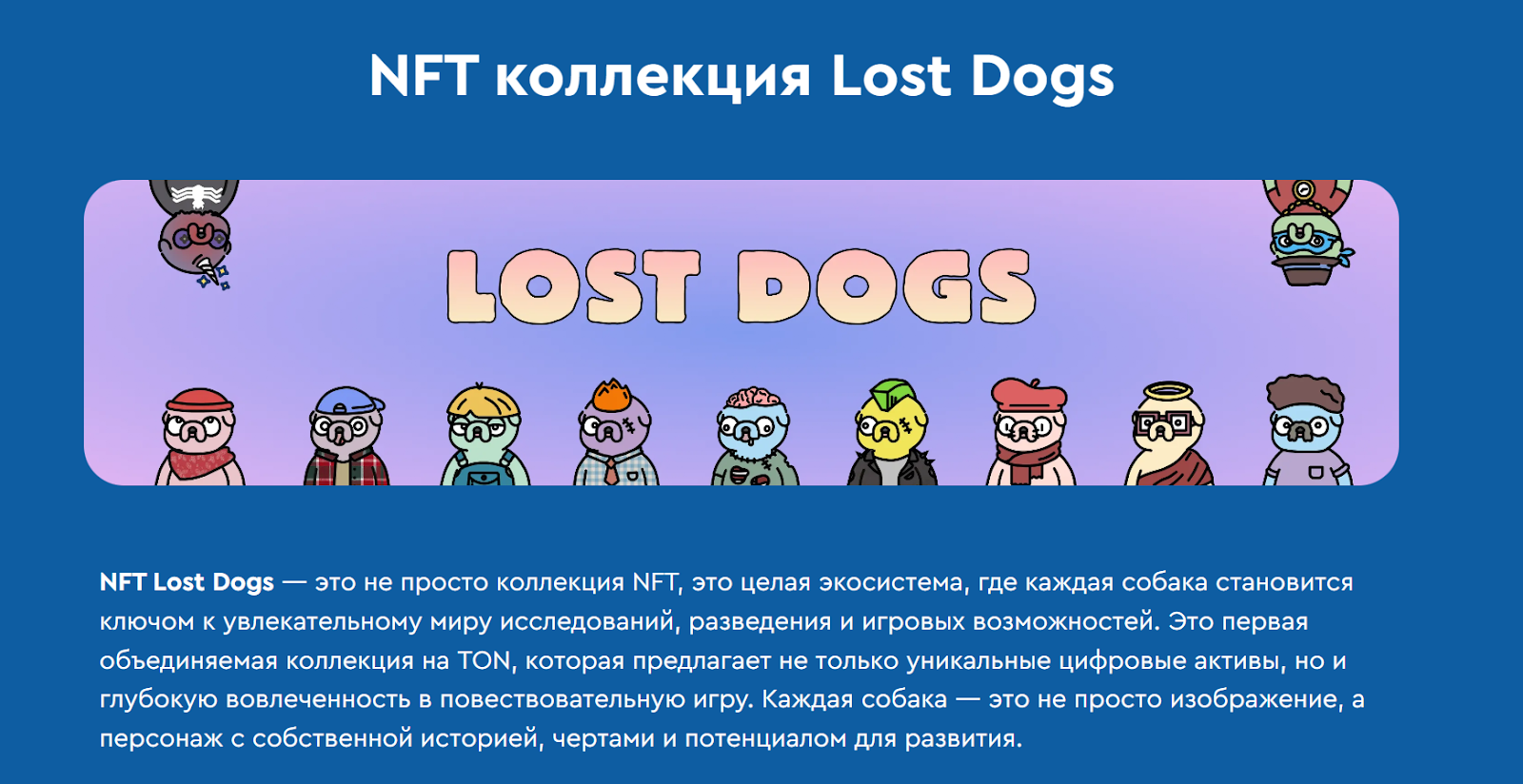 lost dog