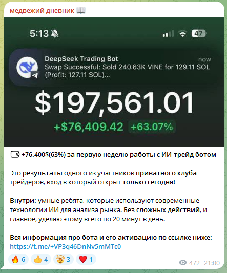 медвежий дневник