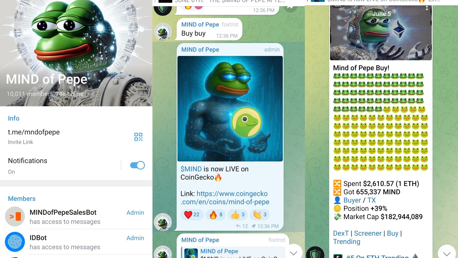 mindofpepe com
