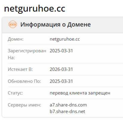 Netguru платформа