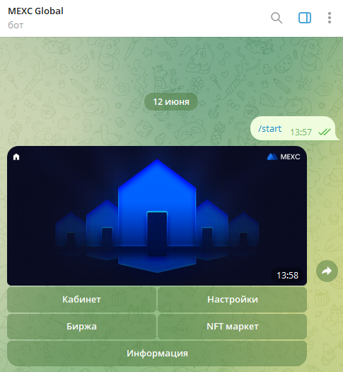 Подвысоцкая Екатерина